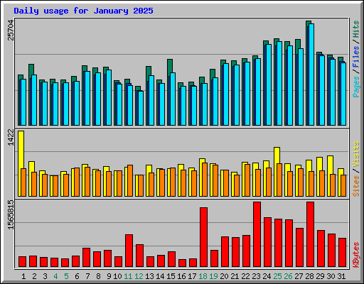 Daily usage for January 2025