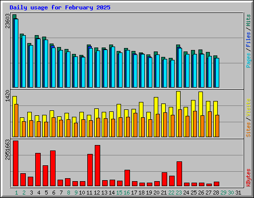 Daily usage for February 2025