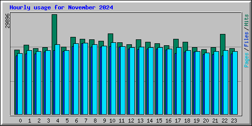 Hourly usage for November 2024