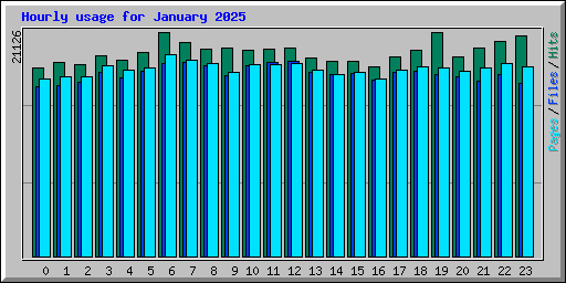 Hourly usage for January 2025