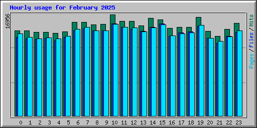 Hourly usage for February 2025