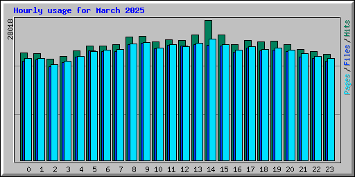 Hourly usage for March 2025