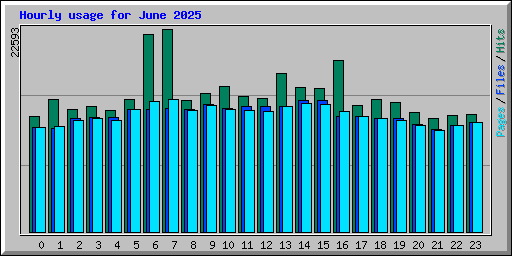 Hourly usage for June 2025