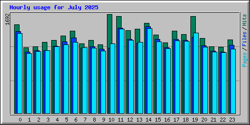 Hourly usage for July 2025