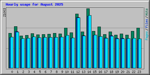 Hourly usage for August 2025